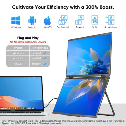 15.6 Inch FHD Dual Screen Extend LCD 1080P Monitor Portable